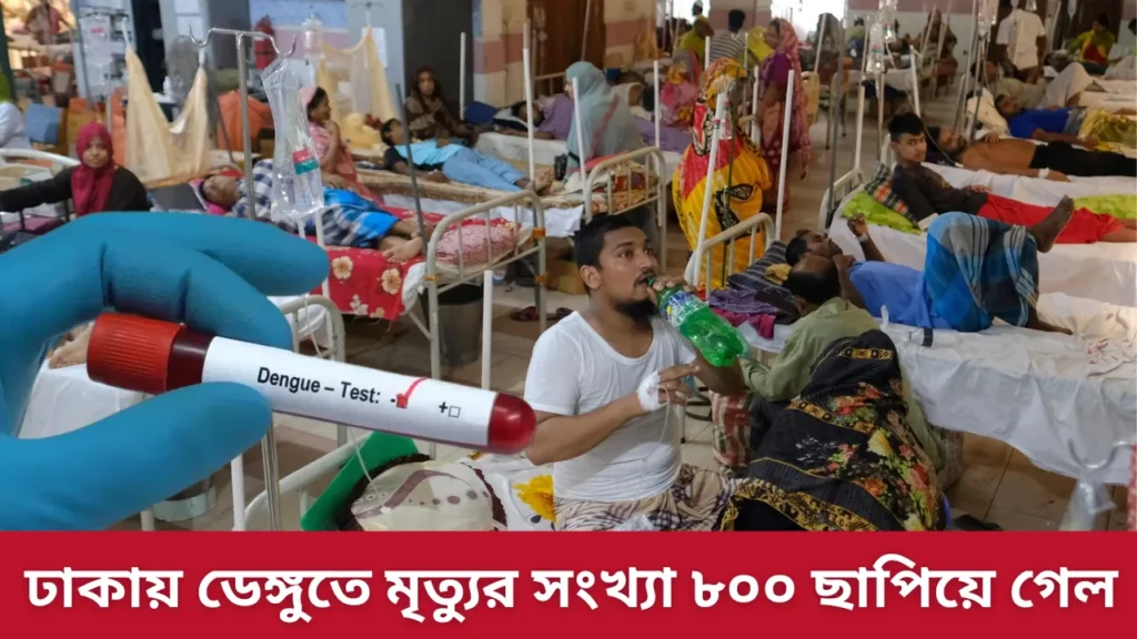 dengue death in bangladesh